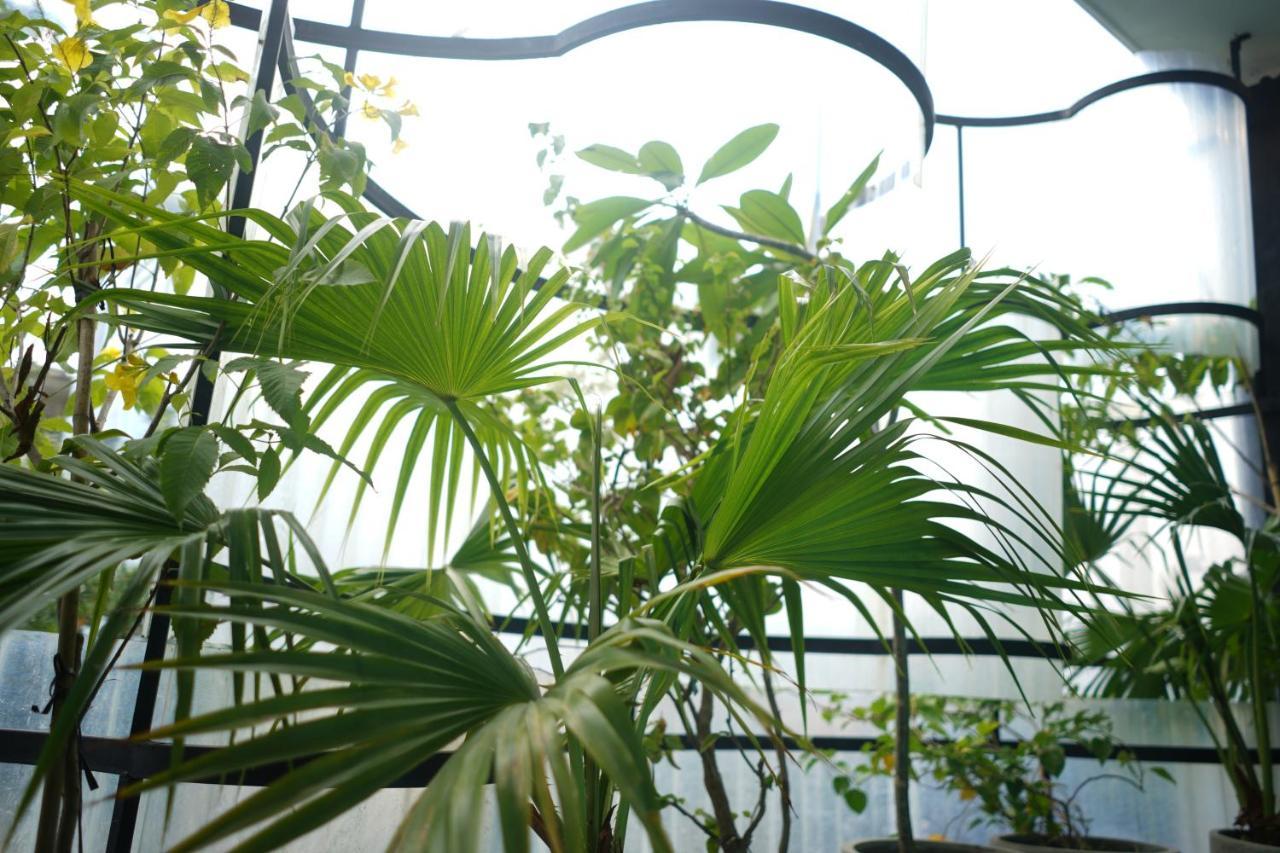 The Garden & Da Nang
